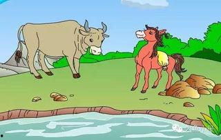 小马过河视频成人演讲,勇敢探索，智慧成长的励志故事