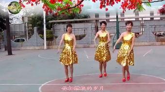 拉丁成人舞初学视频,跟随视频轻松掌握舞步与节奏