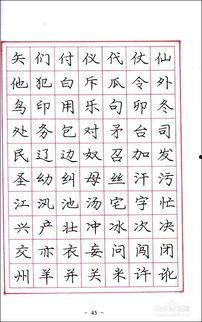 成人怎么练好字视频,跟随视频轻松提升书写技能